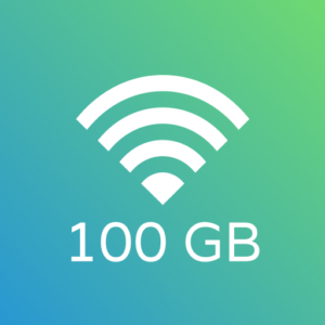100 GB Plan
