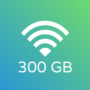 300 GB Plan